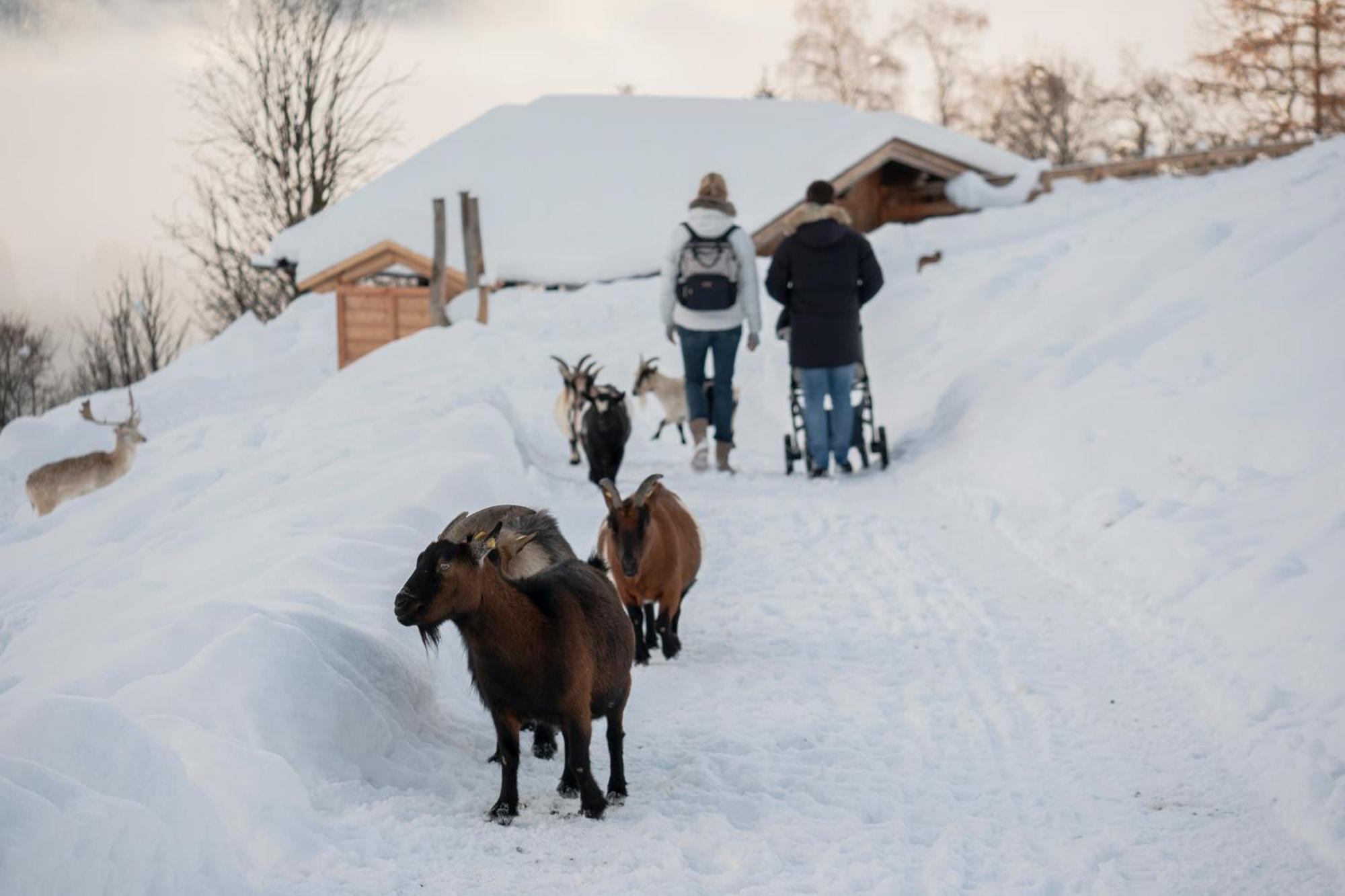 Alte Bildhauerei Leilighet Aurach bei Kitzbuehel Eksteriør bilde